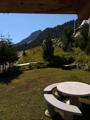 Ereniku Alpine Cabin-Riverfront Escape in 伦巴德
