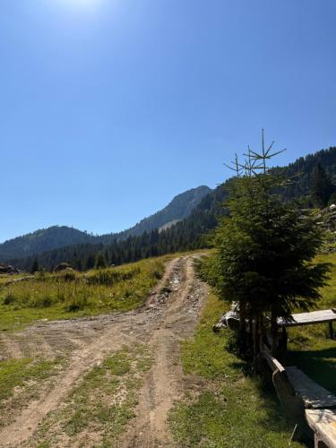 Ereniku Alpine Cabin-Riverfront Escape in 伦巴德