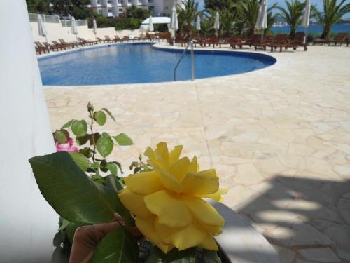 Grand Hotel Palladium Santa Eulalia del Río - image 10