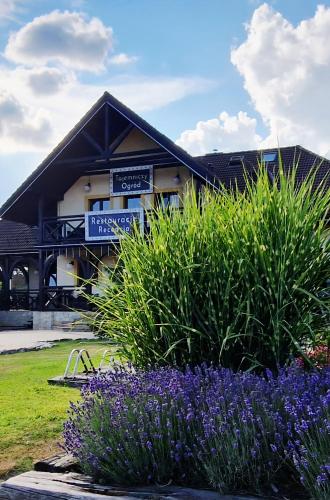 Tajemniczy Ogrod Szczytna - Bed & Breakfast - Kudowa-Zdroj