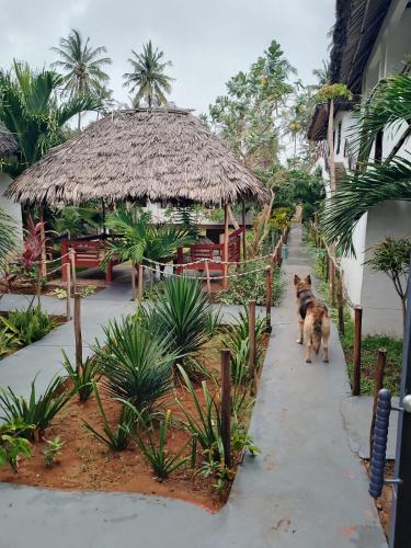 Al Mar Bed and Breakfast in Уатаму