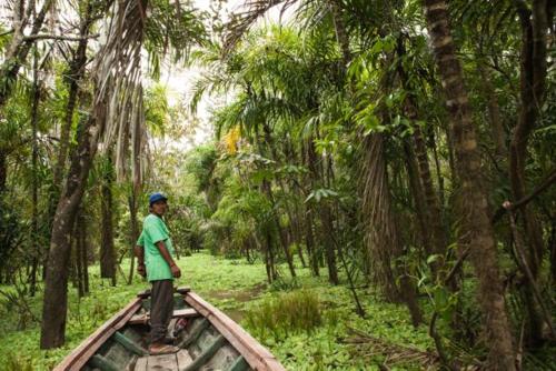 Libertad Jungle Lodge in Yucuruche