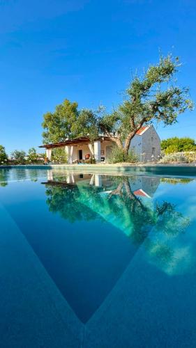 Trulli Ad Maiora - Tap to explore photos