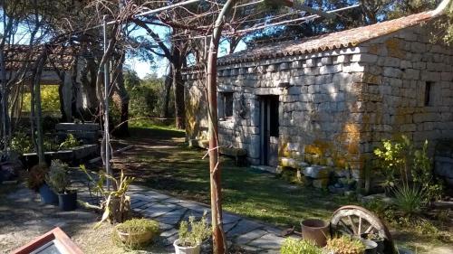 Agriturismo La Vigna BnB Berchidda