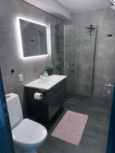 Small apartment in the middle of Gol city center in Гол