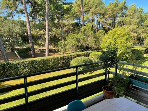 Les pins marins