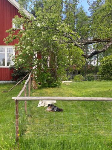 Dārzs, Charming Swedish house near Sunne in Arnstorp