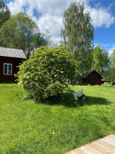 Dārzs, Charming Swedish house near Sunne in Arnstorp