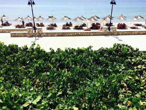 Hotel Riviera in 切帕洛