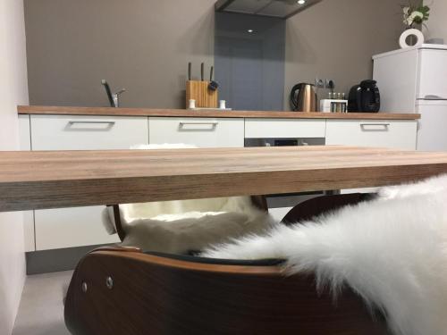 LOFT SPA - Côté château. - image 12