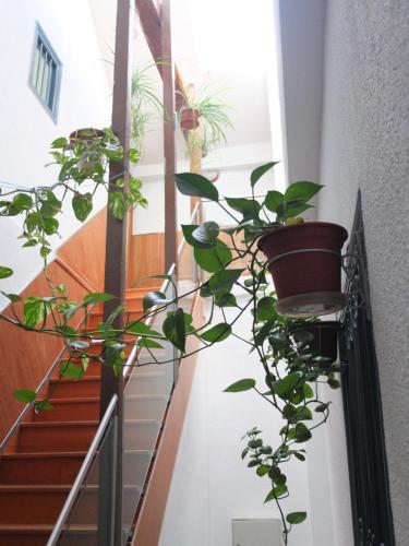 Los Angeles Plaza - image 10