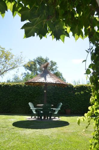 Kert, Hotel Carmen de Areco in Carmen De Areco