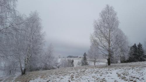 Potoczek 19, Mittelwalde (Foto 10)