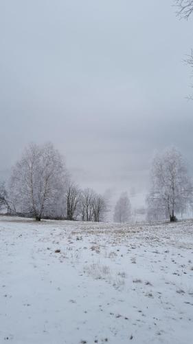 Potoczek 19, Mittelwalde (Foto 9)