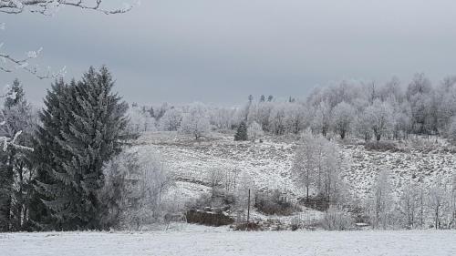 Potoczek 19, Mittelwalde (Foto 8)