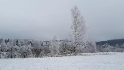 Potoczek 19, Mittelwalde (Foto 7)