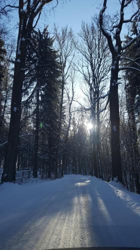 Potoczek 19, Mittelwalde (Foto 4)