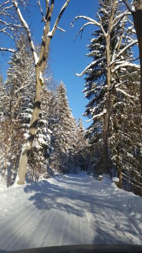Potoczek 19, Mittelwalde (Foto 2)