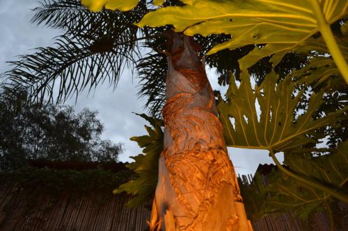 فندق باساروس سويت