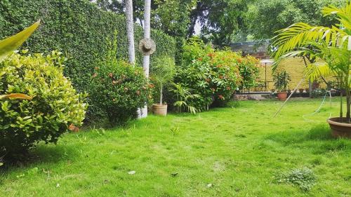 Hostal El Jardin