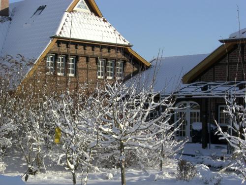 The Cosy Home - image 9