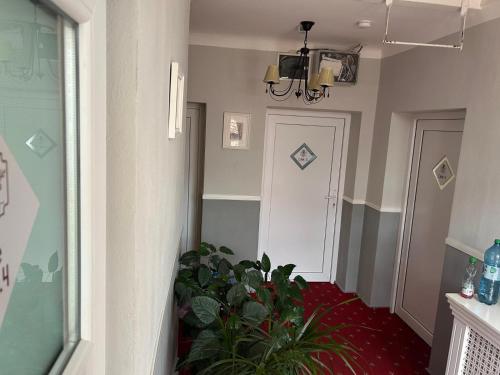Brother's House 4
