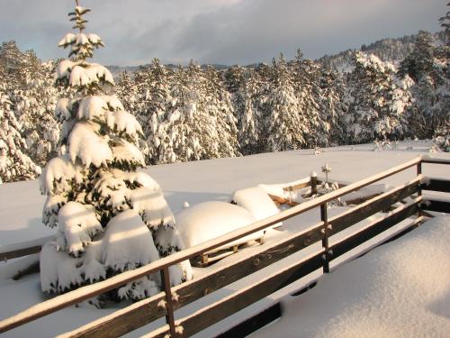 Chalet Four Season - image 12