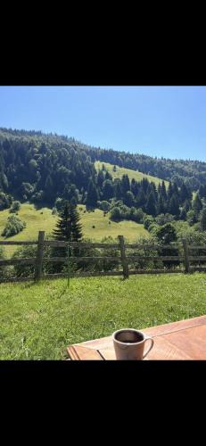 Jelovica Mountain in Dolovi Lalevića