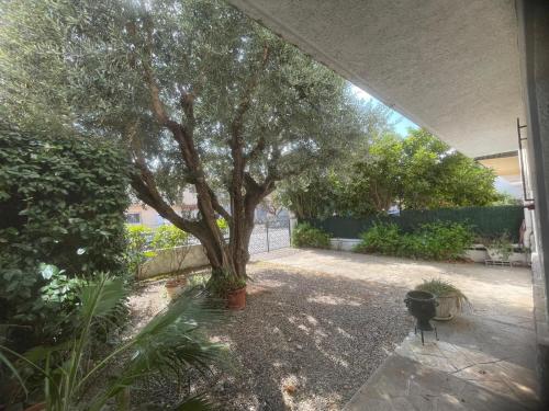 La Célina - Maison familiale pour 8 à Perpignan - image 3