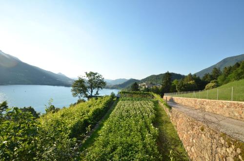  Trentino Appartamenti Oss in Tenna