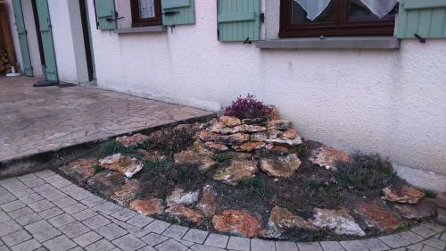L'écume du Cher