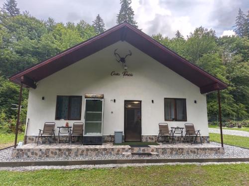 Cabana Tonea in Sebesu De Sus