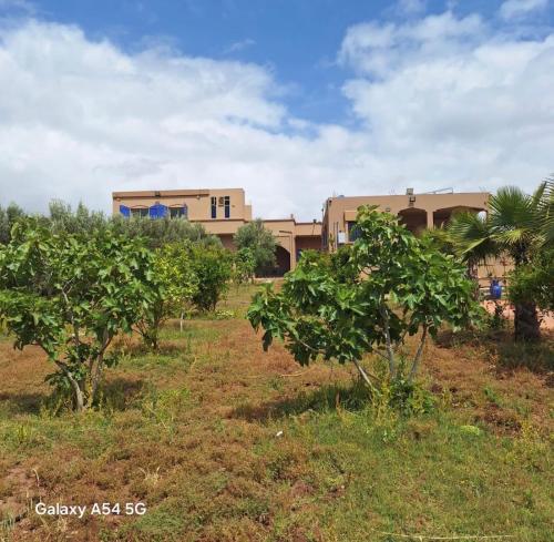 Bakry house دار البكري in Douar Sehamna