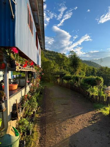 Chintapu Homestay In Ilam, Eastern Nepal. - Sikkim