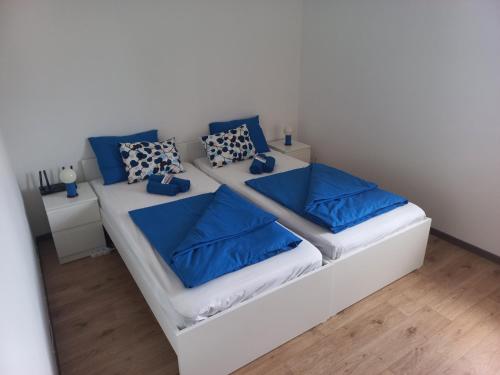 Apartmán Borůvka (Apartman Boruvka) in Javornik