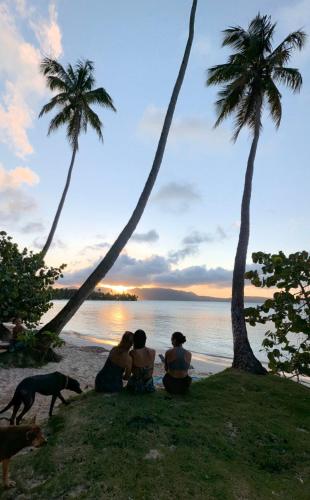 Beach, Hostel La Ballena Backpacker in Las Galeras