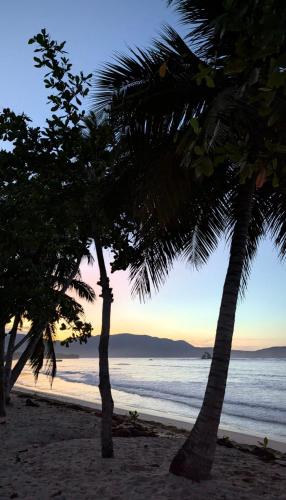 Beach, Hostel La Ballena Backpacker in Las Galeras