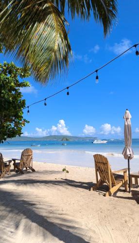 Beach, Hostel La Ballena Backpacker in Las Galeras