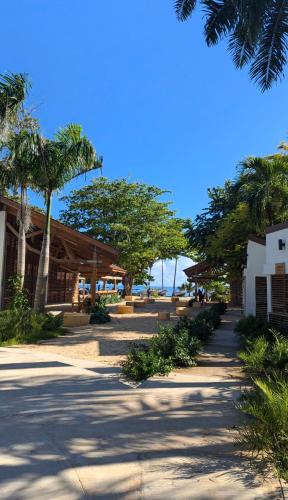 Beach, Hostel La Ballena Backpacker in Las Galeras