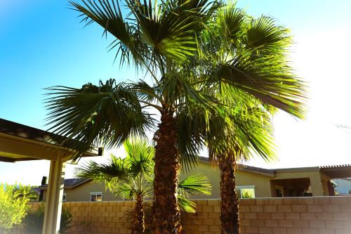 razgled, Paradise in Palm Desert 3BR Pool and Spa in Shadow Ridge