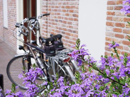 Hotel Huys van Heusden - image 6