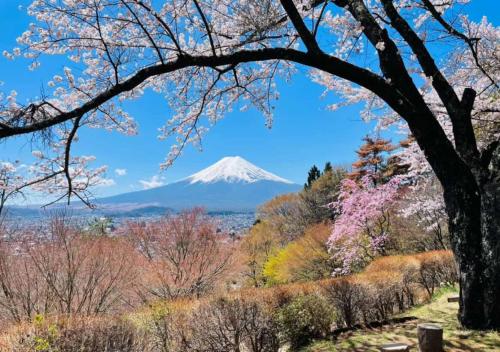 Nearby attraction, Backpacker's House Kamome in Fujiyoshida
