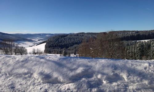 Schwarzwaldgasthaus Salenhof - image 8