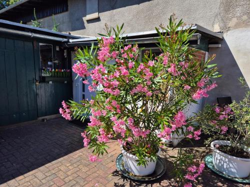 Ferienwohnung Schorfheide Krüger 3