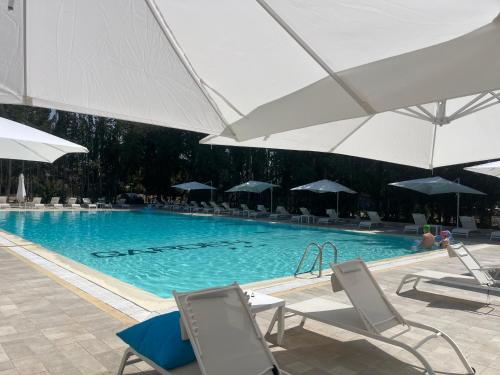 Úszómedence, Garden Hotel in Latina