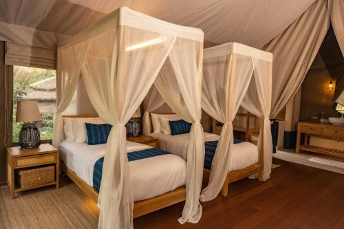 2 twin beds
