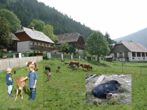 外部景觀, Hof Wieser in 帕特爾加森