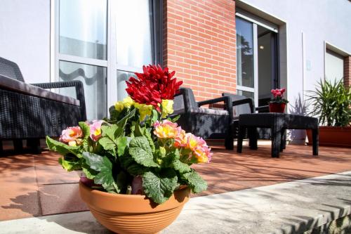 Lavanda Dream Apartment, Split (photo 3)