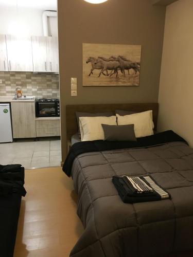 Amazing Studio 9 minutes walk from Center
