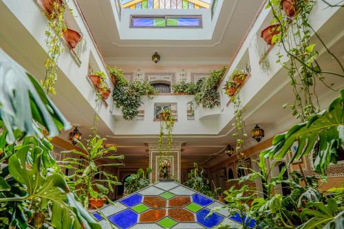 Riad Salt River 5